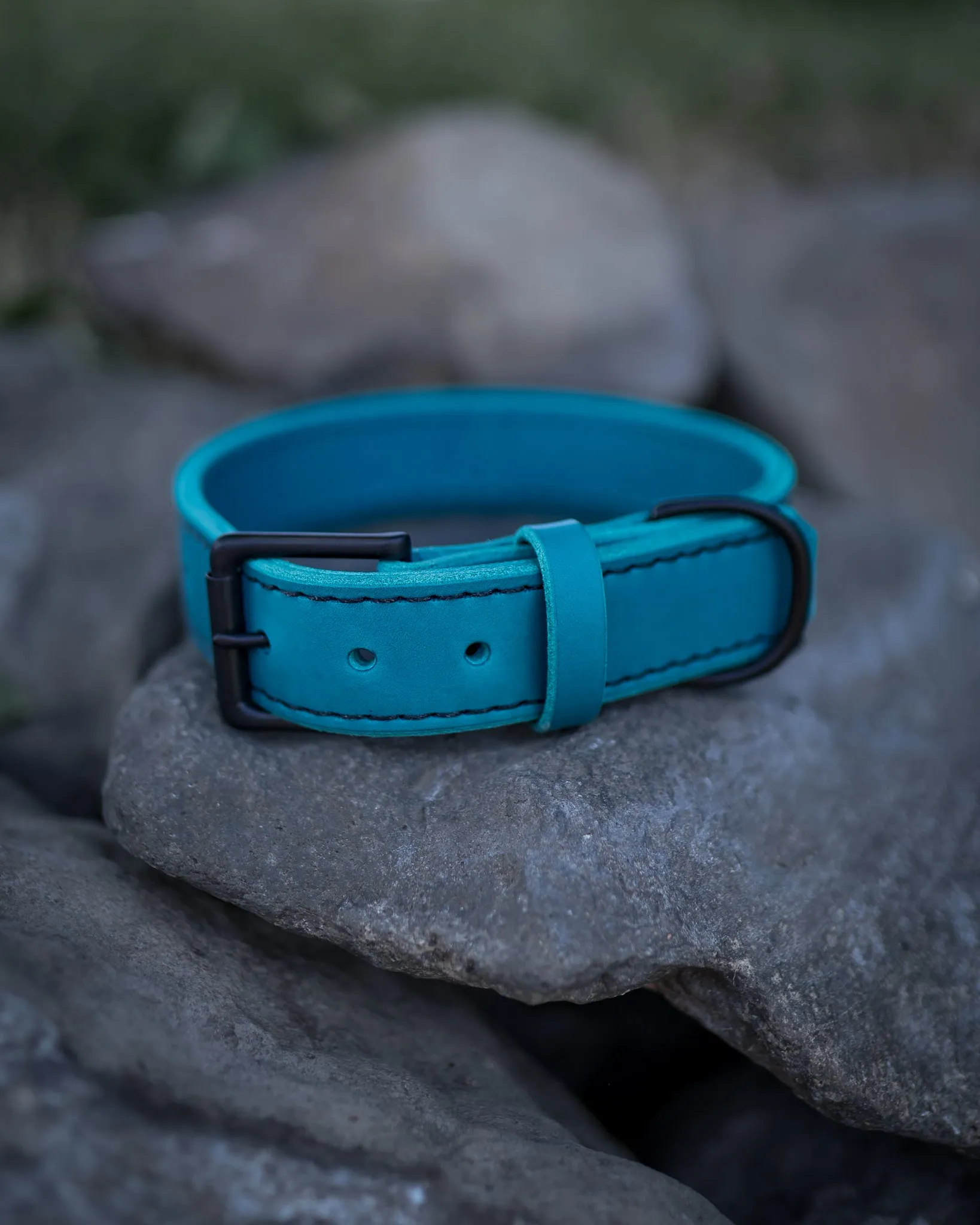 1.5" Teal Collar