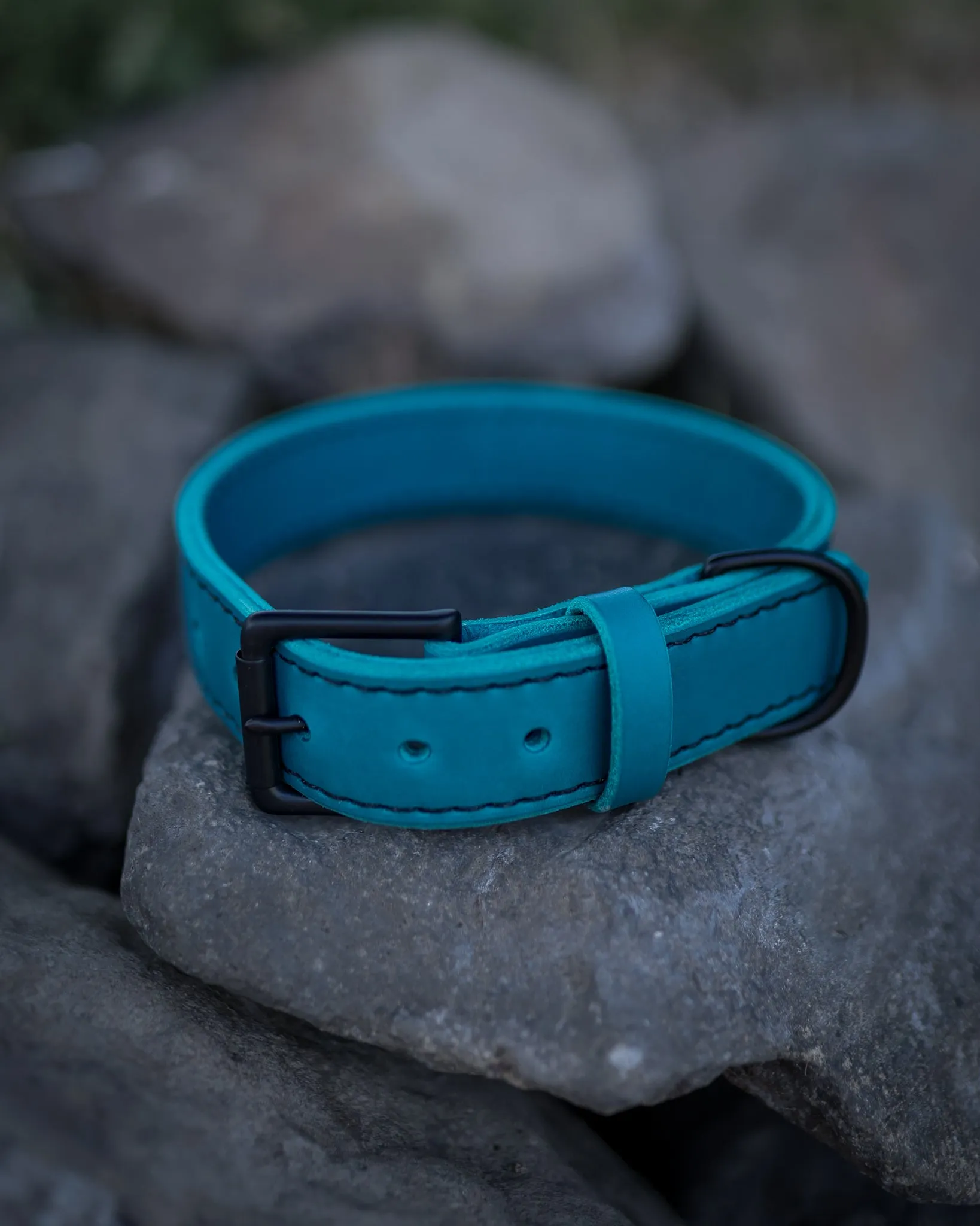 1.5" Teal Collar