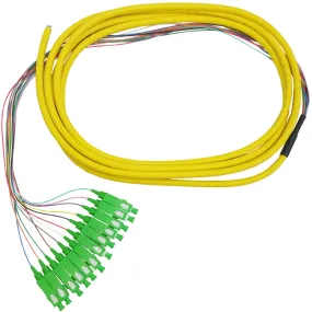 3m SC/APC 12-Fiber OS2 Singlemode Simplex 9 micron - 900um Jacketed Pigtail - 19inch Fan-Out - OFNR