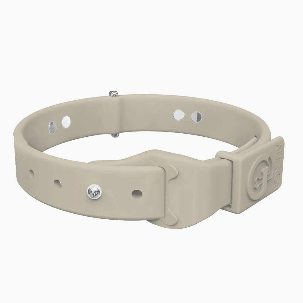 Boneflex  Signature Spike Silver Collar