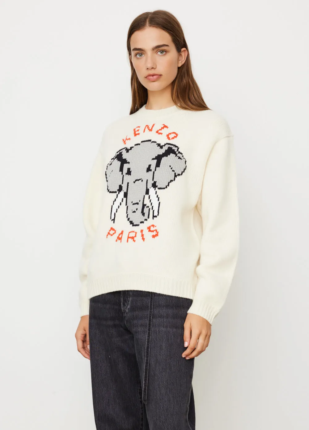 Kenzo Pixel Jumper