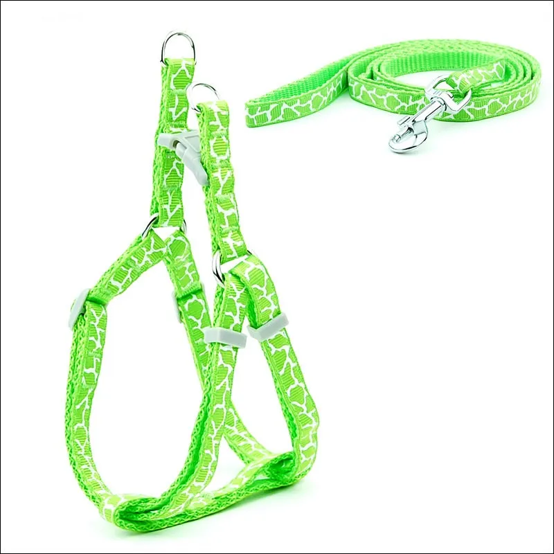 Pet Chest Strap and Leash Set