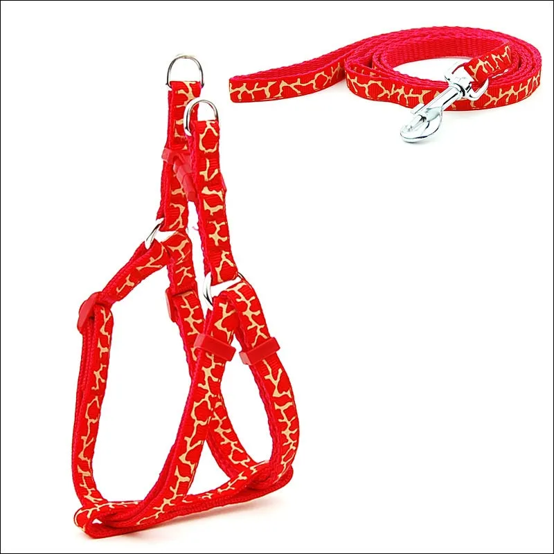 Pet Chest Strap and Leash Set