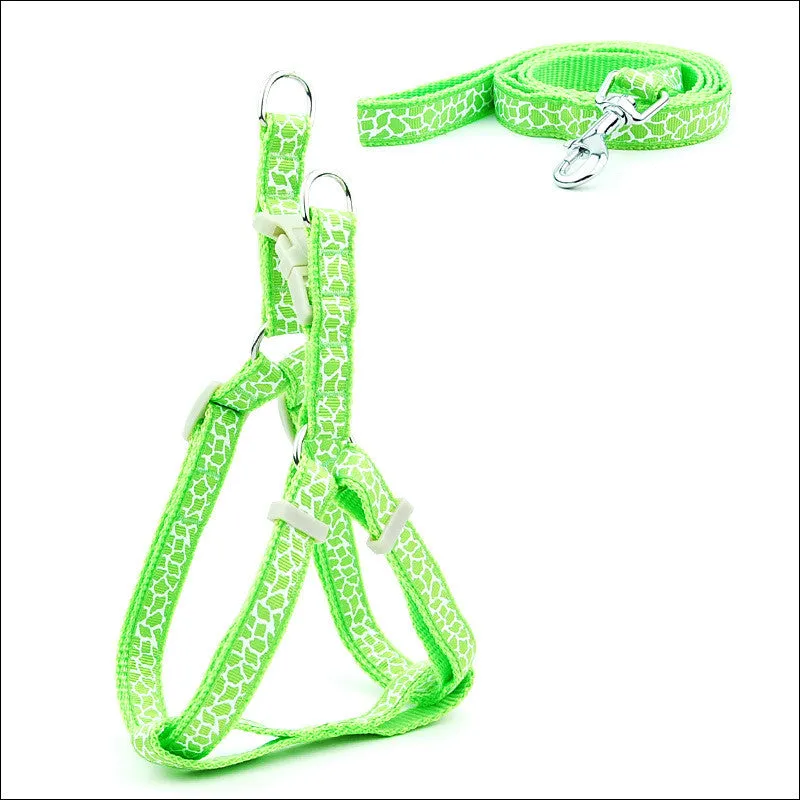 Pet Chest Strap and Leash Set