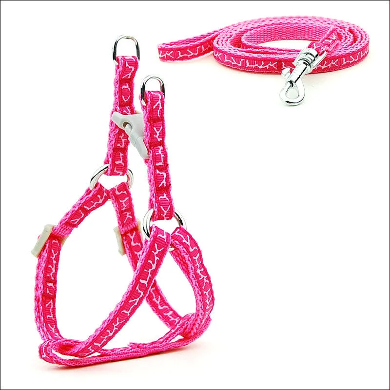 Pet Chest Strap and Leash Set